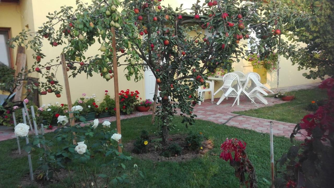 Apartman Peric Ðakovo Exterior foto